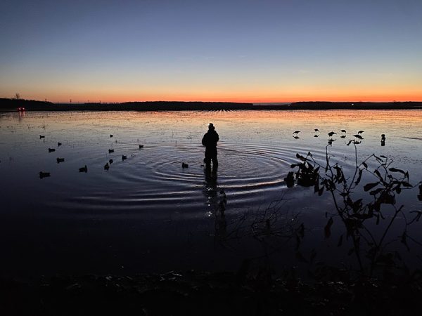 Brian Reinhart photo