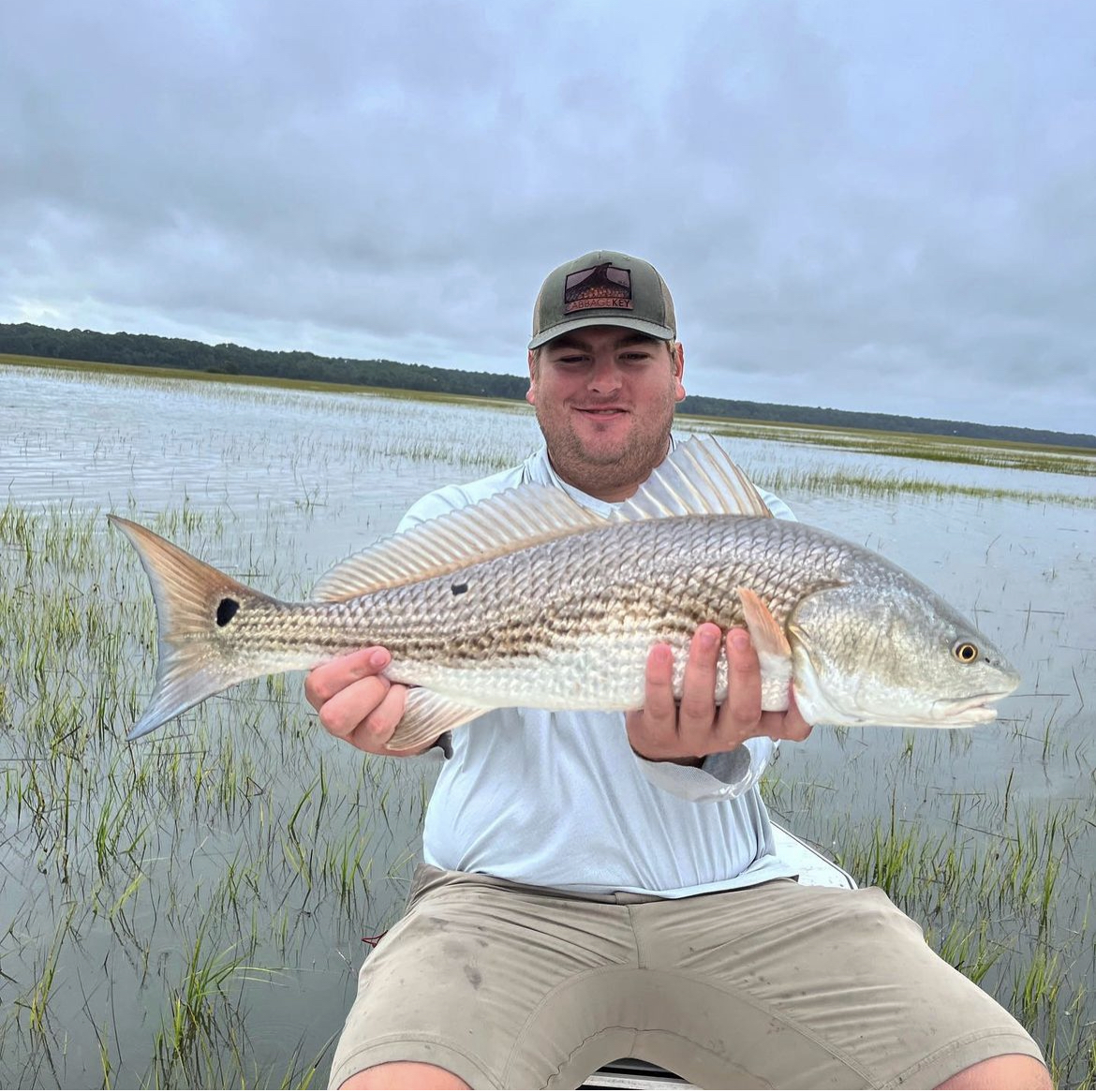 Michael Chapman photo