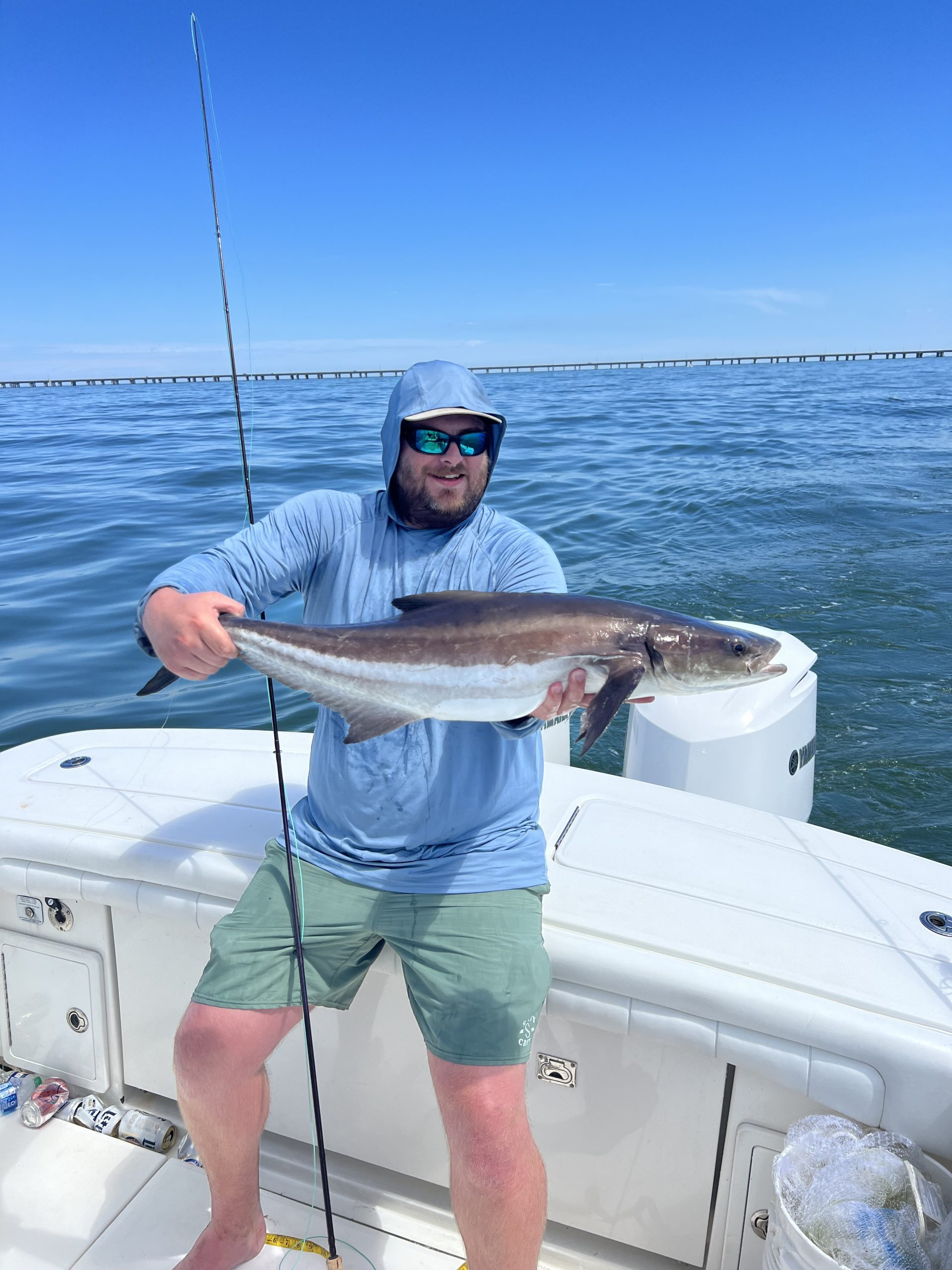 Michael Chapman photo